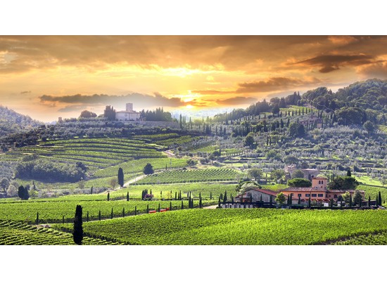 ΜΕΣΑΙΩΝΙΚΗ  ΙΤΑΛΙΑ  -  ΤΟΣΚΑΝΗ  &  ΙΤΑΛΙΚΗ  ΡΙΒΙΕΡΑ ‘ΚΡΕΜΑΣΤΑ   ΧΩΡΙΑ’ ΤΣΙΝΚΟΥΕ  ΤΕΡΡΕ   ΑΣΙΖΗ - ΠΕΡΟΥΤΖΙΑ  -  ΣΙΕΝΑ -   ΣΑΝ ΤΖΙΜΙΝΙΑΝΟ   - ΠΙΖΑ  - ΦΛΩΡΕΝΤΙΑ - CINQUE TERRE    7 ΗΜΕΡΕΣ  //  ΑΝΑΧΩΡΗΣΕΙΣ:    16/6/26   &  1/7/26