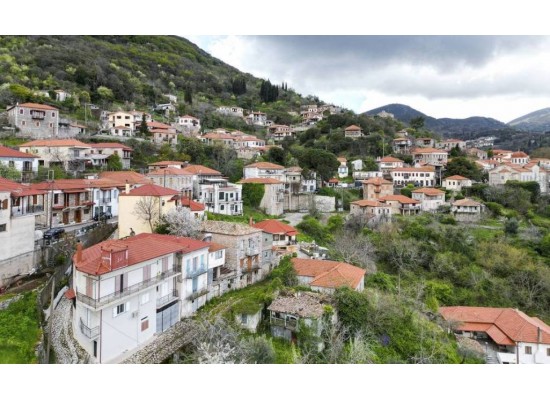 ​ ΚΥΡΙΑΚΗ 1/11/2026 Ημερήσια ​ ΑΝΔΡΙΤΣΑΙΝΑ ΝΑΟΣ ΕΠΙΚΟΥΡΙΟΥ ΑΠΟΛΛΩΝΑ
