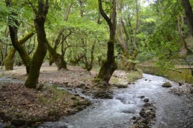 ΚΥΡΙΑΚΗ 10/5/2026 Ημερήσια  ΠΛΑΝΗΤΕΡΟ ΣΠΗΛΑΙΟ (ΤΩΝ ΛΙΜΝΩΝ)    ΚΛΕΙΤΟΡΙΑ - ΚΑΣΤΡΙΑ