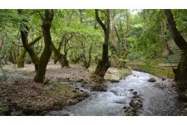 ΚΥΡΙΑΚΗ 10/5/2026 Ημερήσια  ΠΛΑΝΗΤΕΡΟ ΣΠΗΛΑΙΟ (ΤΩΝ ΛΙΜΝΩΝ)    ΚΛΕΙΤΟΡΙΑ - ΚΑΣΤΡΙΑ