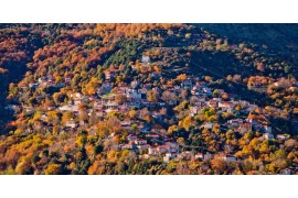 ΚΥΡΙΑΚΗ 11/10/2026 Ημερήσια ΤΟ ΜΠΑΛΚΟΝΙ ΤΗΣ ΤΡΙΠΟΛΗΣ ΑΝΩ ΔΟΛΙΑΝΑ – ΑΓ. ΠΕΤΡΟΣ - ΜΟΝΗ ΜΑΛΕΒΗΣ