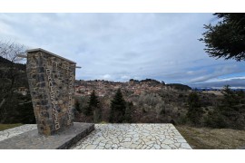 ΚΥΡΙΑΚΗ 11/10/2026 Ημερήσια ΒΑΛΤΕΣΙΝΙΚΟ ΑΡΚΑΔΙΑΣ    ΣΠΗΛΑΙΟ ΚΑΨΙΑ – ΒΥΤΙΝΑ