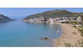 ΚΥΡΙΑΚΗ 13/9/2026 Ημερήσια  ΝΑΥΠΛΙΟ - ΤΟΛΟ