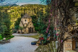 ΚΥΡΙΑΚΗ 14/12/2025 Ημερήσια ΝΕΟΣ ΠΡΟΟΡΙΣΜΟΣ Στους ΚΗΠΟΥΣ του(Area Synest All Day Nature) ΣΥΝΕΒΡΟ