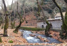 ​ ΚΥΡΙΑΚΗ 15/11/2026 Ημερήσια ​  ΠΛΑΝΗΤΕΡΟ ​ ΣΠΗΛΑΙΟ (ΤΩΝ ΛΙΜΝΩΝ)   ​  ΚΛΕΙΤΟΡΙΑ – ΚΑΣΤΡΙΑ