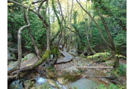 ΚΥΡΙΑΚΗ 17/5/2026 Ημερήσια  ΤΟ ΠΑΡΑΔΕΙΣΕΝΙΟ ΧΩΡΙΟ ΤΗΣ ΦΘΙΩΤΙΔΑΣ ΠΑΥΛΙΑΝΗ (ΠΑΡΚΟ ΑΝΑΨΥΧΗΣ) ΚΑΜΕΝΑ ΒΟΥΡΛΑ