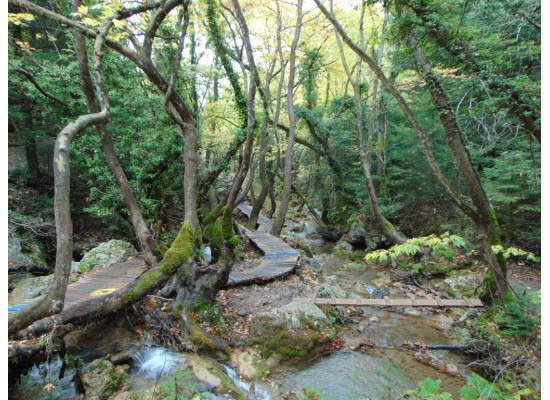 ΚΥΡΙΑΚΗ 17/5/2026 Ημερήσια  ΤΟ ΠΑΡΑΔΕΙΣΕΝΙΟ ΧΩΡΙΟ ΤΗΣ ΦΘΙΩΤΙΔΑΣ ΠΑΥΛΙΑΝΗ (ΠΑΡΚΟ ΑΝΑΨΥΧΗΣ) ΚΑΜΕΝΑ ΒΟΥΡΛΑ