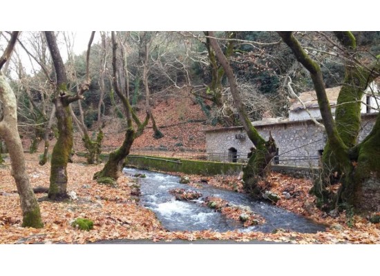 ΚΥΡΙΑΚΗ 21/12/2025 Ημερήσια  ΠΛΑΝΗΤΕΡΟ   ΣΠΗΛΑΙΟ(ΤΩΝ ΛΙΜΝΩΝ)  - ΚΛΕΙΤΟΡΙΑ - ΚΑΣΤΡΙΑ