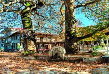 ΣΑΒΒΑΤΟ 25/4/2026 Ημερήσια ΑΓΟΡΙΑΝΗ – ΑΡΑΧΟΒΑ ΠΑΡΝΑΣΣΟΣ