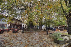 ΚΥΡΙΑΚΗ 30/11/2025 Ημερήσια ΑΓΟΡΙΑΝΗ – ΑΡΑΧΟΒΑ ΠΑΡΝΑΣΣΟΣ