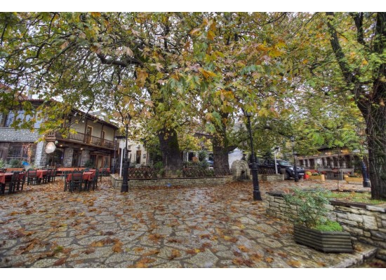 ΚΥΡΙΑΚΗ 30/11/2025 Ημερήσια ΑΓΟΡΙΑΝΗ – ΑΡΑΧΟΒΑ ΠΑΡΝΑΣΣΟΣ