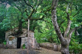 ΚΥΡΙΑΚΗ 30/11/2025 Ημερήσια ΑΓΙΑ ΘΕΟΔΩΡΑ  ΙΣΑΡΗ – ΒΑΣΤΑ