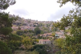 ΚΥΡΙΑΚΗ 30/11/2025 Ημερήσια ΝΕΟΣ ΠΡΟΟΡΙΣΜΟΣ  KAΡΥΕΣ ΛΑΚΩΝΙΑΣ