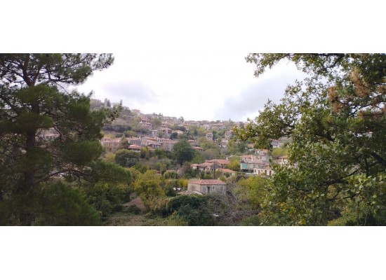 ΚΥΡΙΑΚΗ 30/11/2025 Ημερήσια ΝΕΟΣ ΠΡΟΟΡΙΣΜΟΣ  KAΡΥΕΣ ΛΑΚΩΝΙΑΣ