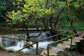 ΚΥΡΙΑΚΗ 30/8/2026 Ημερήσια ΤΟ ΠΑΡΑΔΕΙΣΕΝΙΟ ΧΩΡΙΟ ΤΗΣ ΦΘΙΩΤΙΔΑΣ ΠΑΥΛΙΑΝΗ (ΠΑΡΚΟ ΑΝΑΨΥΧΗΣ) ΚΑΜΕΝΑ ΒΟΥΡΛΑ