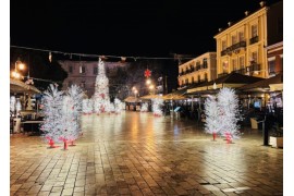  ΚΥΡΙΑΚΗ 4/1/2026 Ημερήσια  ΝΑΥΠΛΙΟ (ΜΥΚΗΝΕΣ – ΠΑΛΑΜΗΔΙ) ΔΩΡΕΑΝ ΕΙΣΟΔΟΣ ΣΕ ΜΟΥΣΕΙΑ ΚΑΙ ΑΡΧ. ΧΩΡΟΥΣ