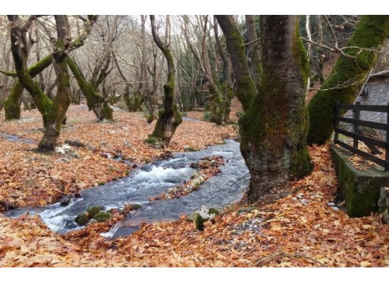 ΚΥΡΙΑΚΗ 4/10/2026 Ημερήσια  ΠΛΑΝΗΤΕΡΟ ΣΠΗΛΑΙΟ (ΤΩΝ ΛΙΜΝΩΝ)    ΚΛΕΙΤΟΡΙΑ – ΚΑΣΤΡΙΑ
