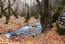 ​ ΚΥΡΙΑΚΗ 5/4/2026 Ημερήσια ​  ΠΛΑΝΗΤΕΡΟ ​ ΣΠΗΛΑΙΟ (ΤΩΝ ΛΙΜΝΩΝ)   ​  ΚΛΕΙΤΟΡΙΑ - ΚΑΣΤΡΙΑ