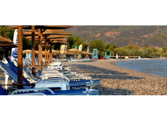 ΚΥΡΙΑΚΗ 5/7/2026 Ημερήσια ΠΑΡΑΛΙΑ ΕΛΑΙΩΝΑ (ΠΑΝΑΓΙΑ ΤΡΥΠΗΤΗ)