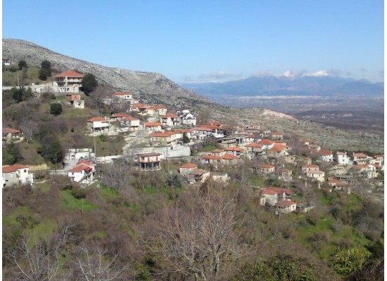 ΣΑΒΒΑΤΟ 7/11/2026 Ημερήσια ΓΙΟΡΤΗ ΚΑΣΤΑΝΟΥ ΣΤΟ ΜΠΑΛΚΟΝΙ ΤΗΣ ΤΡΙΠΟΛΗΣ ΑΝΩ ΔΟΛΙΑΝΑ 