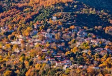 ΚΥΡΙΑΚΗ 8/11/2026 Ημερήσια ΕΠΟΧΗ ΚΑΣΤΑΝΟΥ ΣΤΟ ΜΠΑΛΚΟΝΙ ΤΗΣ ΤΡΙΠΟΛΗΣ ΑΝΩ ΔΟΛΙΑΝΑ – ΑΓ. ΠΕΤΡΟΣ - ΜΟΝΗ ΜΑΛΕΒΗΣ