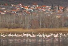 1-3/5/2026 3ήμερη Στο Hotel ‘’ CAPSIS ’’ 4****  ΘΕΣΣΑΛΟΝΙΚΗ – ΛΙΜΝΗ ΚΕΡΚΙΝΗ  ΣΕΡΡΕΣ - ΥΔΡΟΒΙΟΤΟΠΟΣ ΠΡΟΣΚΥΝΗΜΑ ΣΤΟΝ ΤΑΦΟ ΤΟΥ ΓΕΡΟΝΤΑ ΑΓΙΟΥ ΠΑ’Ι’ΣΙΟΥ