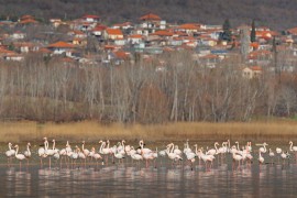 1-3/5/2026 3ήμερη Στο Hotel ‘’ CAPSIS ’’ 4****  ΘΕΣΣΑΛΟΝΙΚΗ – ΛΙΜΝΗ ΚΕΡΚΙΝΗ  ΣΕΡΡΕΣ - ΥΔΡΟΒΙΟΤΟΠΟΣ ΠΡΟΣΚΥΝΗΜΑ ΣΤΟΝ ΤΑΦΟ ΤΟΥ ΓΕΡΟΝΤΑ ΑΓΙΟΥ ΠΑ’Ι’ΣΙΟΥ