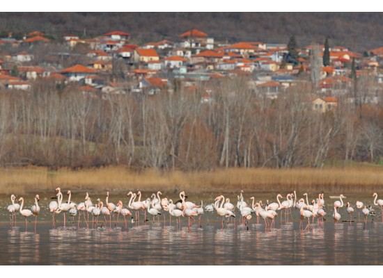 1-3/5/2026 3ήμερη Στο Hotel ‘’ CAPSIS ’’ 4****  ΘΕΣΣΑΛΟΝΙΚΗ – ΛΙΜΝΗ ΚΕΡΚΙΝΗ  ΣΕΡΡΕΣ - ΥΔΡΟΒΙΟΤΟΠΟΣ ΠΡΟΣΚΥΝΗΜΑ ΣΤΟΝ ΤΑΦΟ ΤΟΥ ΓΕΡΟΝΤΑ ΑΓΙΟΥ ΠΑ’Ι’ΣΙΟΥ