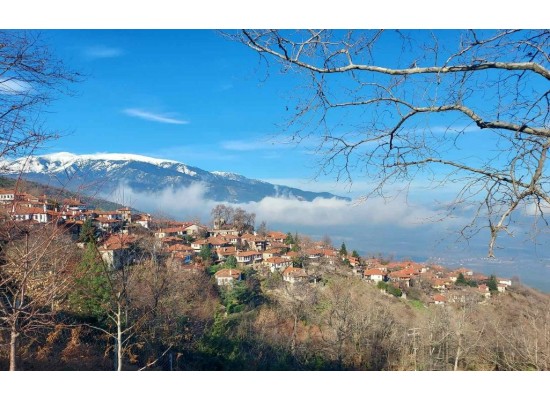 4-6/1/2026 3ήμερη ΕΘΝΙΚΟΣ ΔΡΥΜΟΣ ΟΛΥΜΠΟΥ ΑΜΠΕΛΑΚΙΑ - ΛΙΤΟΧΩΡΟ  - ΛΑΡΙΣΑ  ΠΑΛΑΙΟΣ ΠΑΝΤΕΛΕΗΜΟΝΑΣ   ΄΄ Ο ΜΥΛΟΣ των ΞΩΤΙΚΩΝ ΄΄ στα ΤΡΙΚΑΛΑ